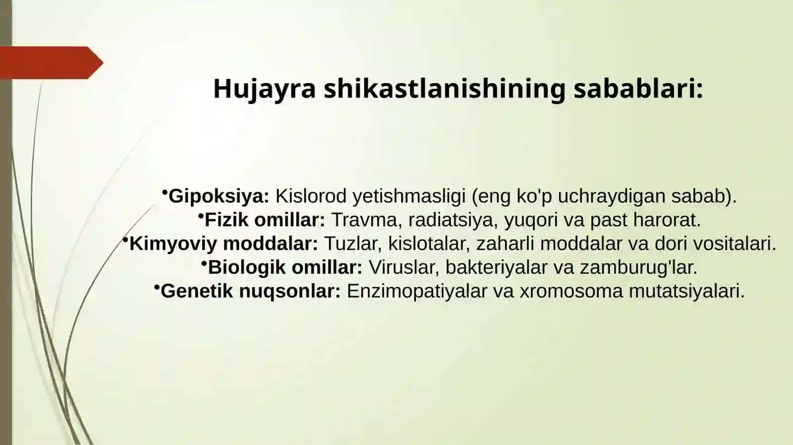 HUJAYRA PATOFIZIOLOGIYASI 4