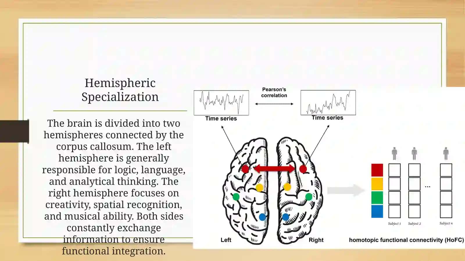 The Human Brain: An Overview 4
