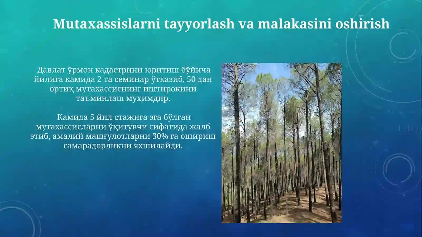Davlat oʻrmon kadastri yuritish tartibi 4