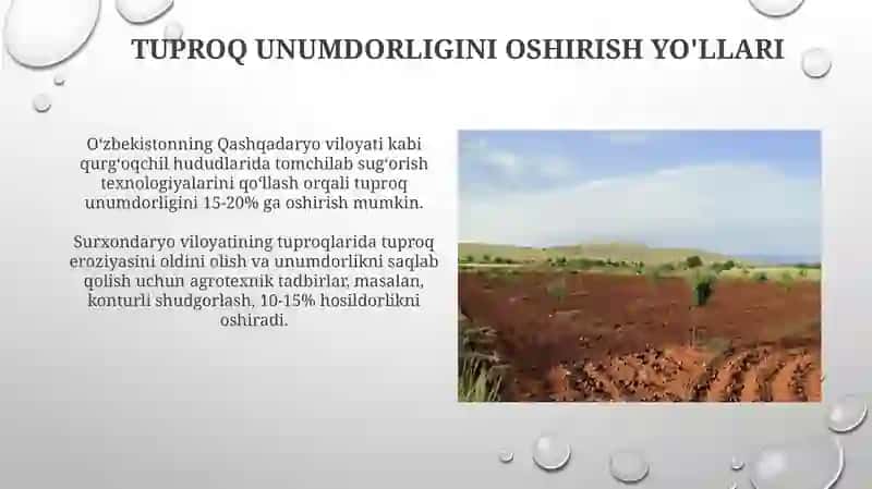 Oʻzbekistonda tuproqlar geografiyasining rivojlanishi 4