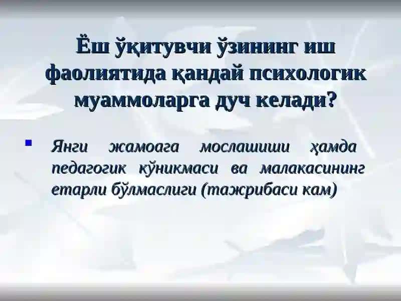 Кадрлар тайёрлаш миллиймодели 4