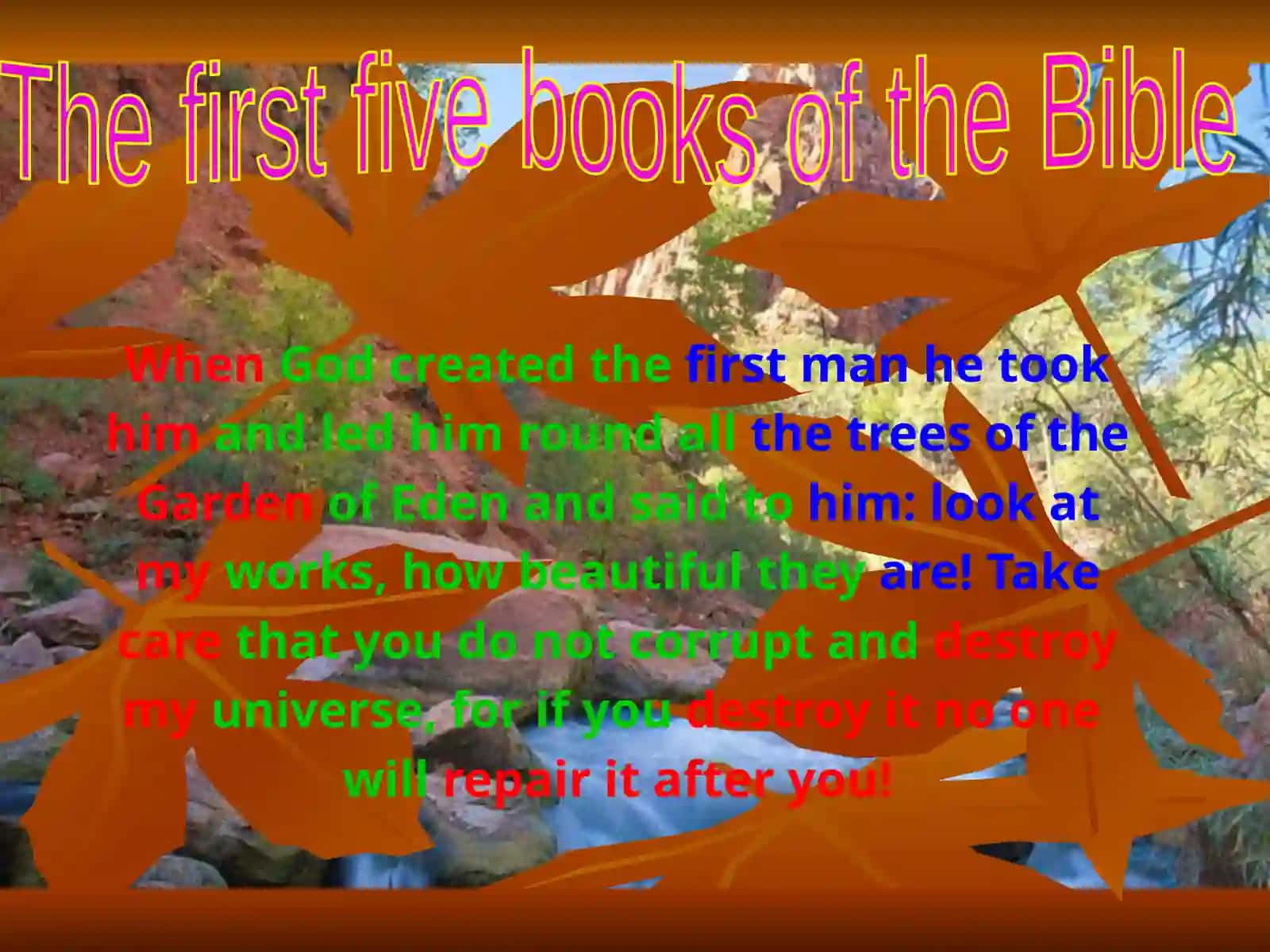Global Problems of Ecology 4