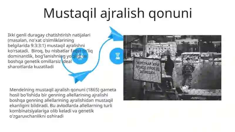 G.Mendel qonuniyatlari 4