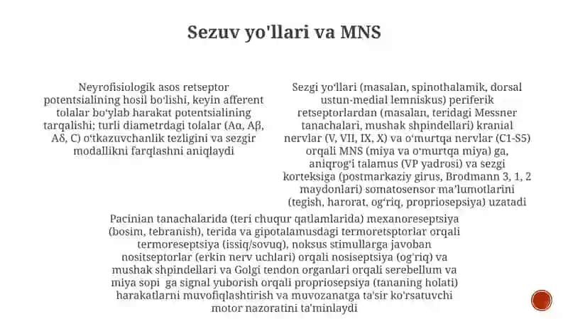 Sezgilar haqida umumiy tushuncha va nerv-fiziologik asoslari 4