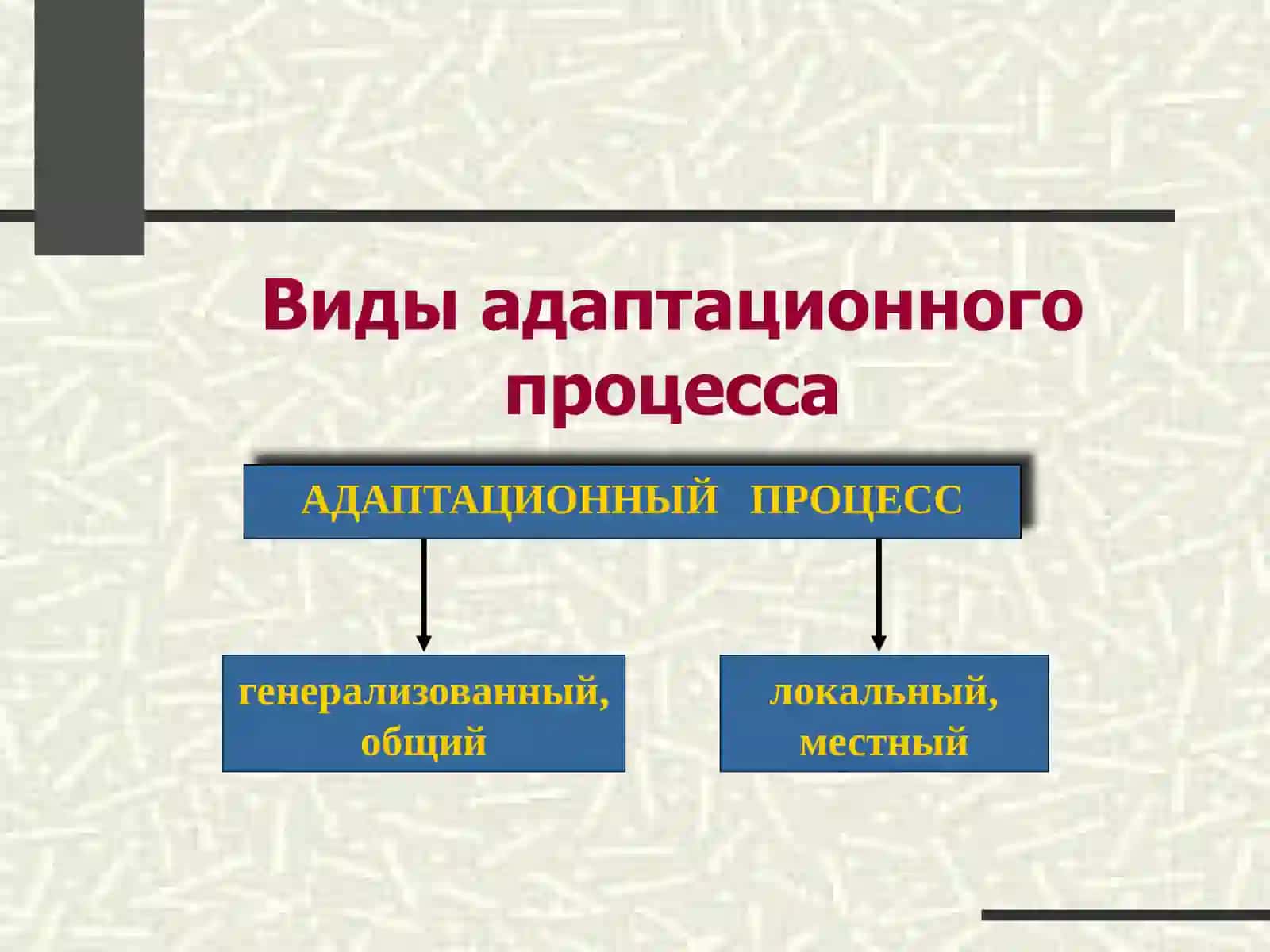 Общий адаптационный синдром (стресс) 4
