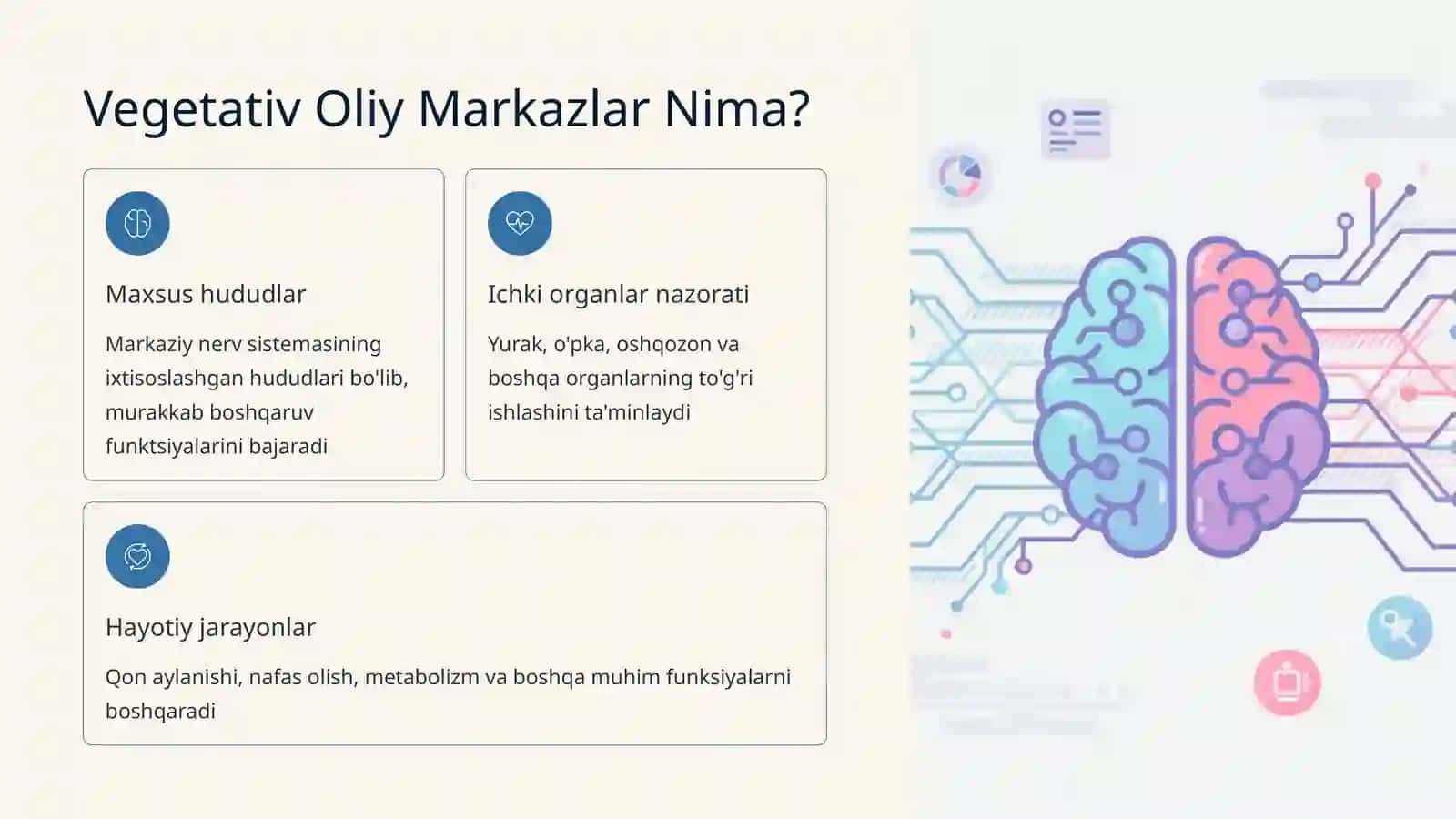 Vegetativ oliy markazlar va ularning funksional ahamiyati 4