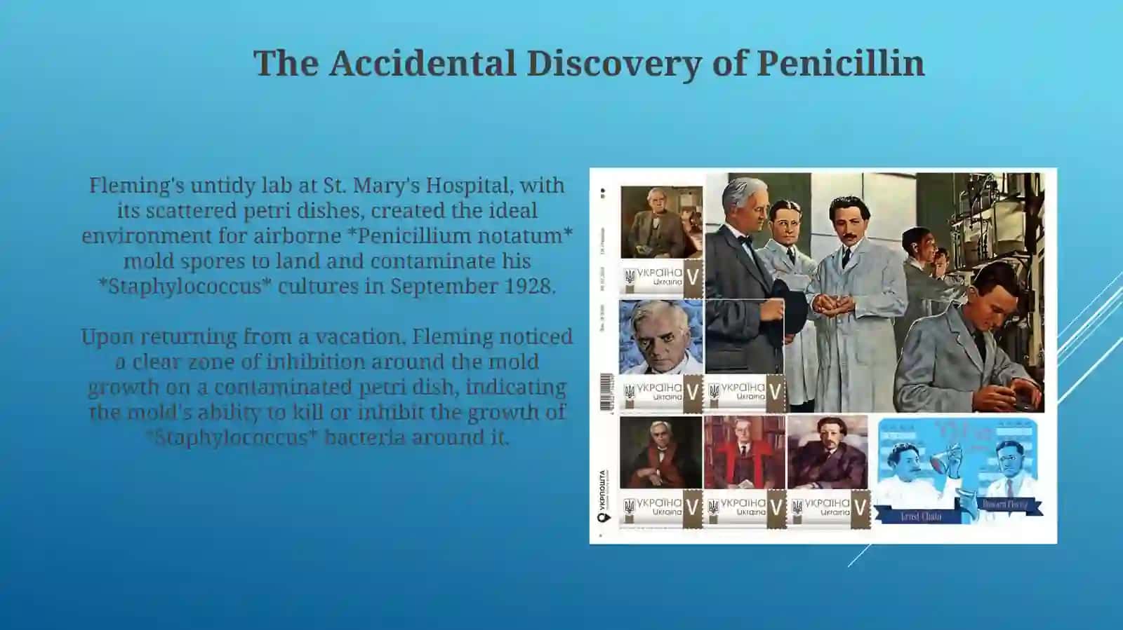 Fleming's discovery 4