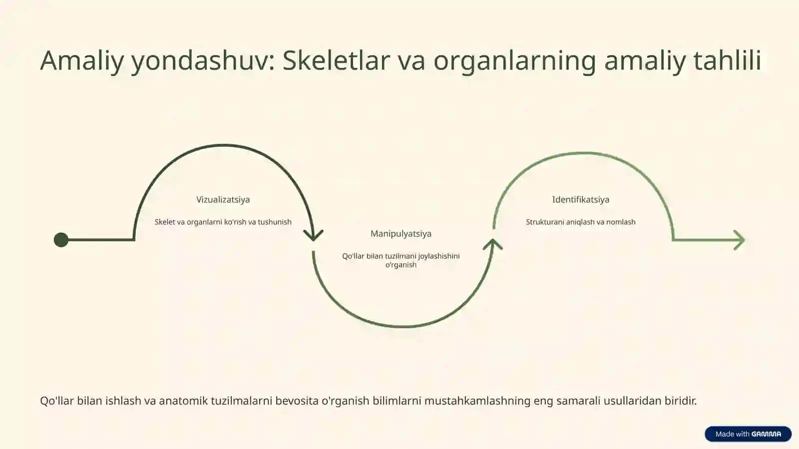 Anatomiya: O'rganishning Samarali Usullari 4