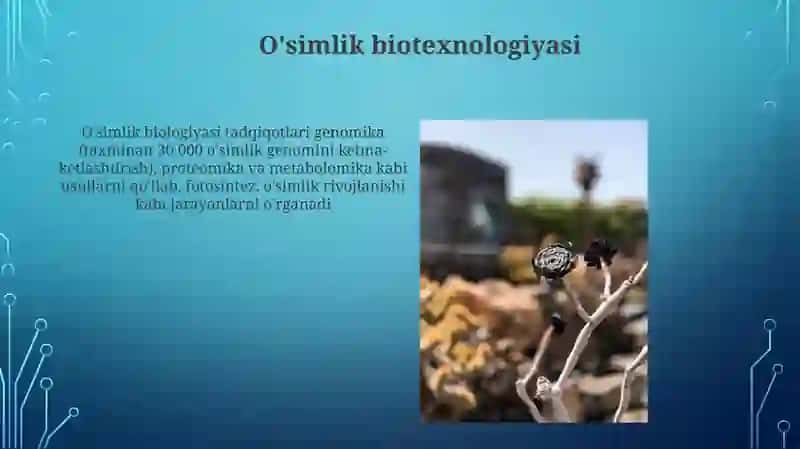 Moyli ekinlarning biologiyasi 4