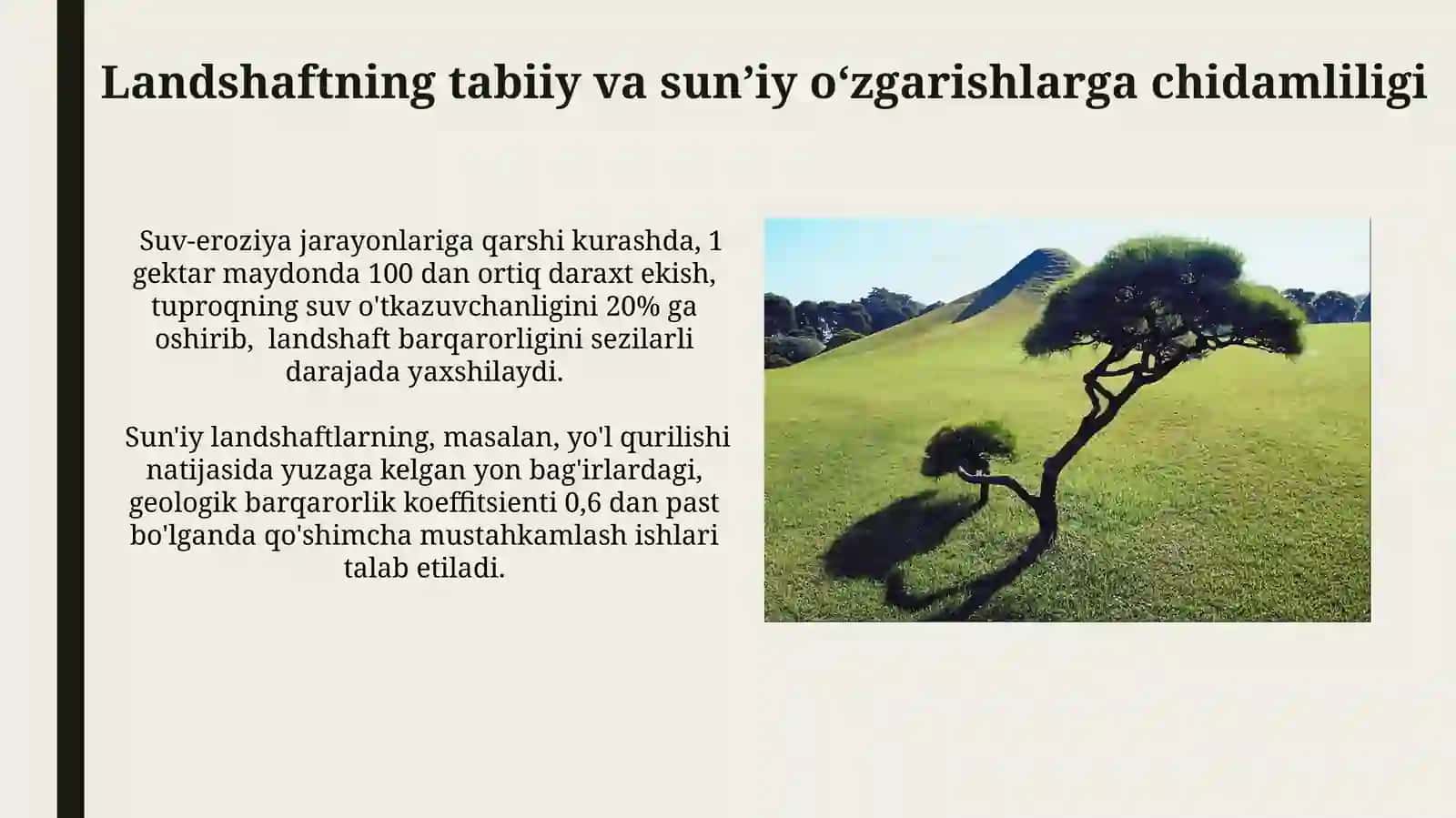 Landshaft barqarorligi 4