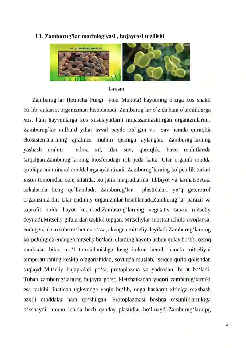 “ Zamburug'larning inson hayotidagi o'rni “ 4