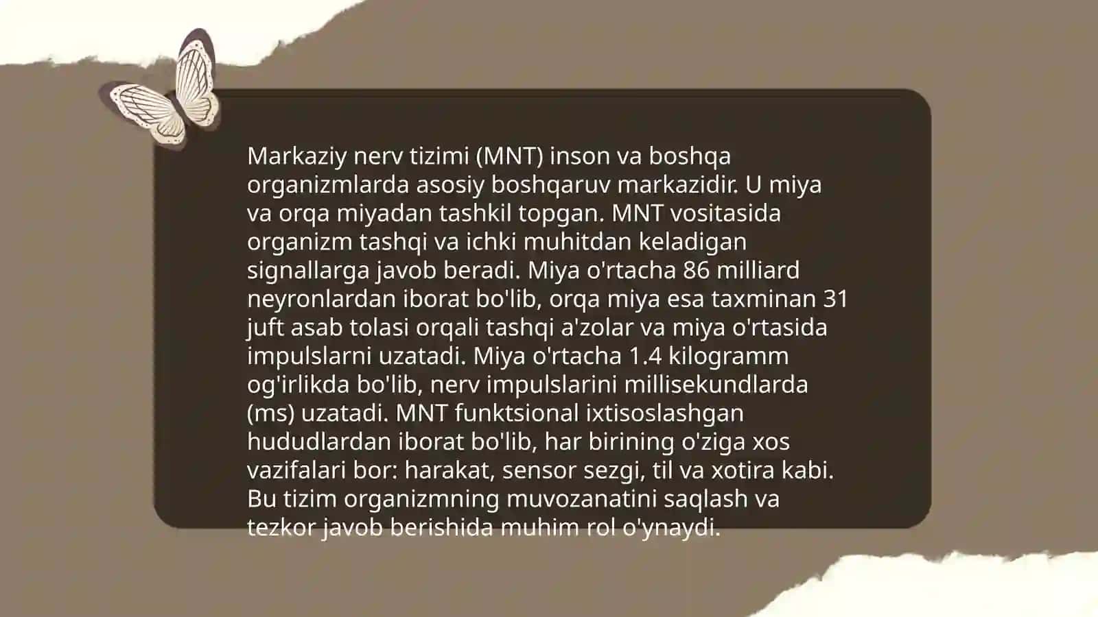 Nerv tizimi. Nerv sestemasi haqida malumot 4