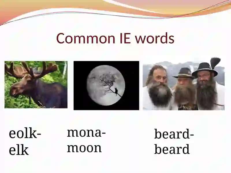 OLD ENGLISH VOCABULARY 4