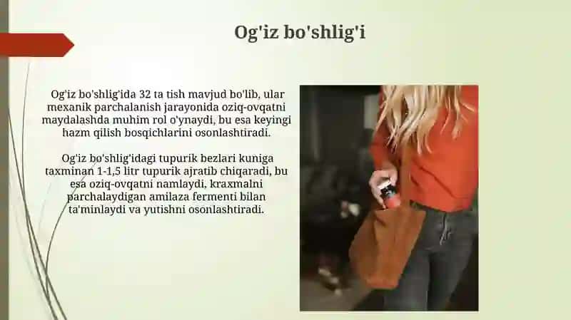 Ovqat hazm qilish anatomiyasi 4