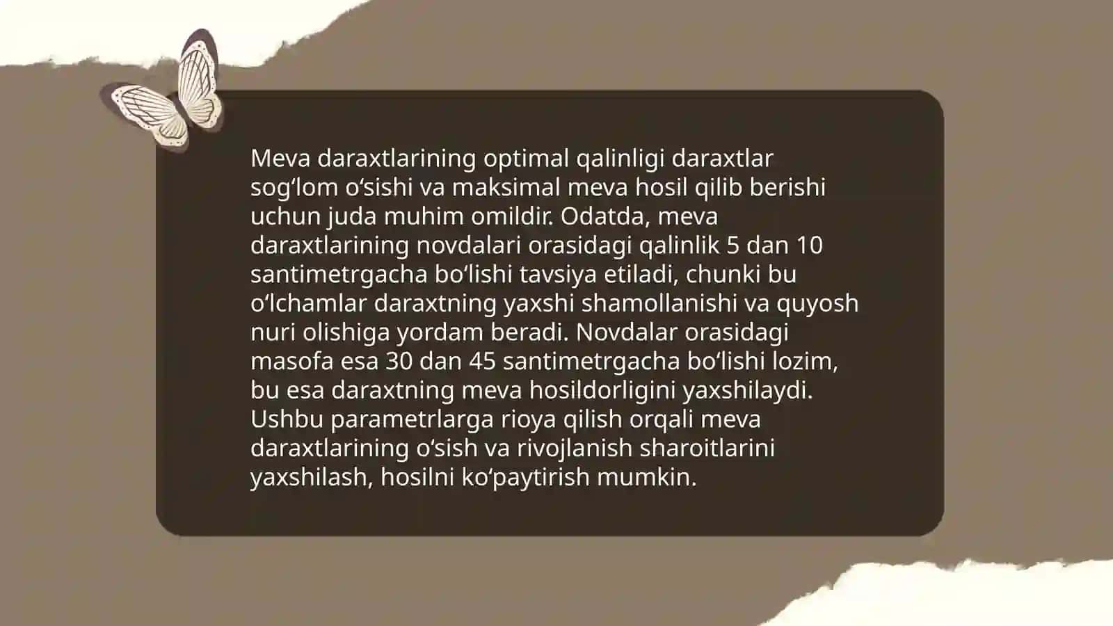 Meva bogʻlarini rejalash va ekish tartibi 4