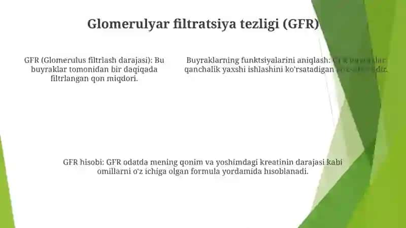 Buyrakning Funksional Sinamalari 4