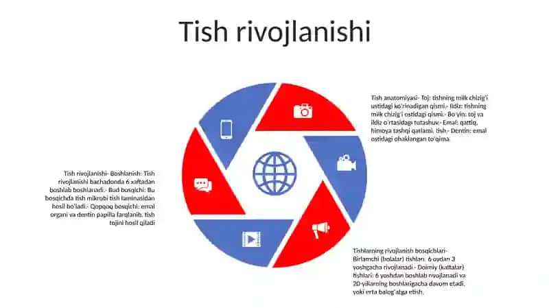 Tish Anatomiyasi 4