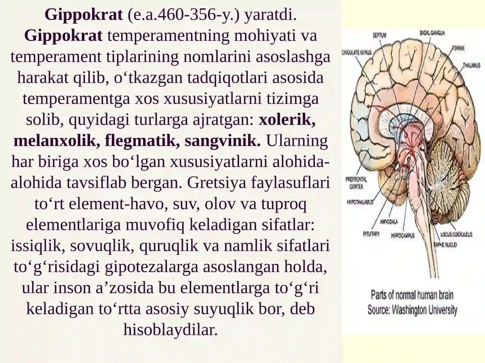 Shaxsning psixologik xususiyatlari 4