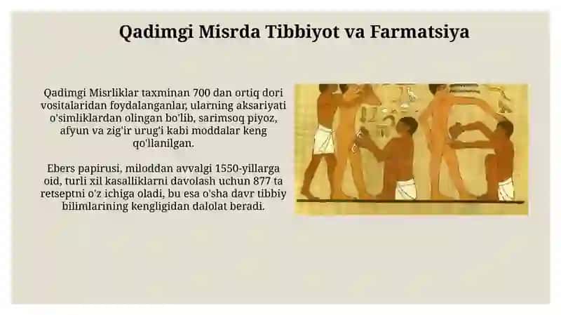 Qadimgi Sivilizatsiyalarda Tibbiyot 4