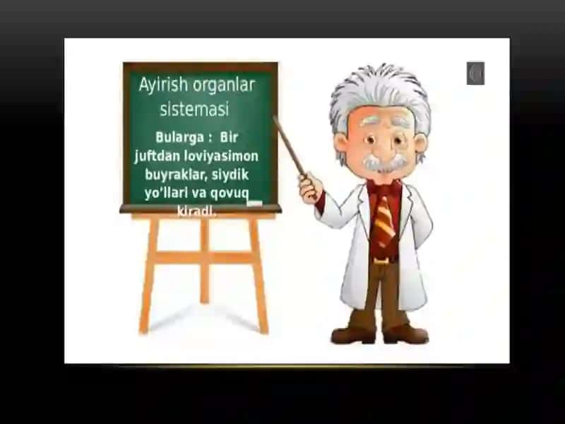 "Siydik Ajratish Organlarining Tuzilishi" 4