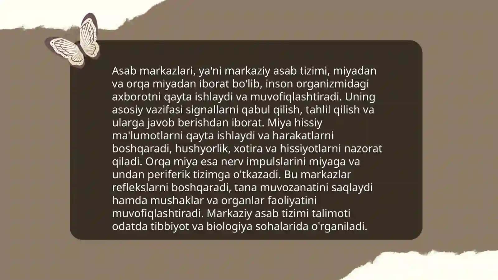 Asab markazlari anatomiyasi 4
