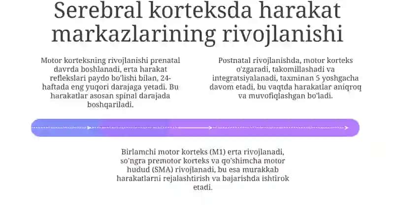 Inson harakatlanish tizimi 4
