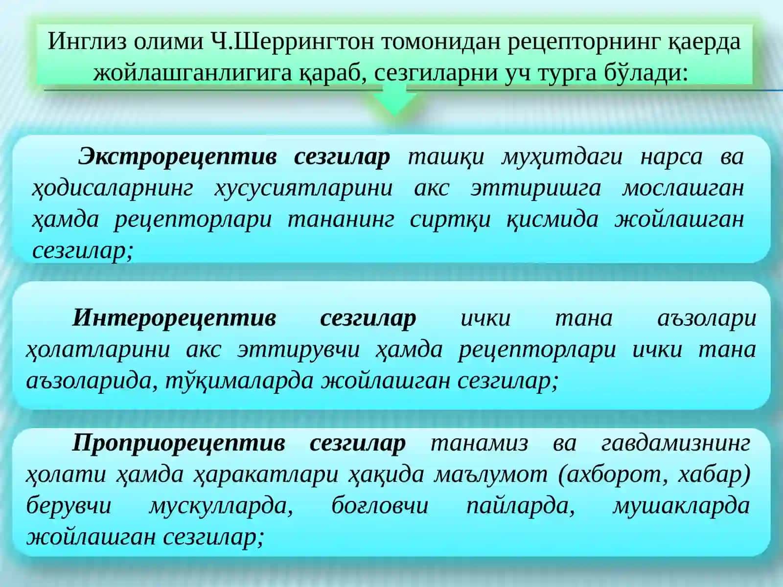Сезги 4