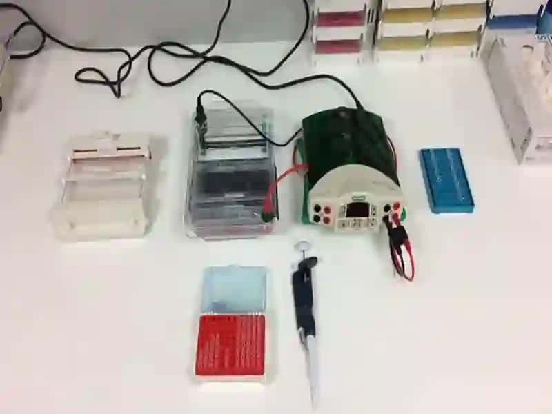 Elektroforez Jihozlari 4