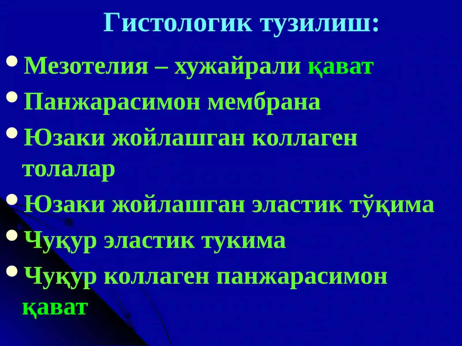 Туберкулез плеврити 4