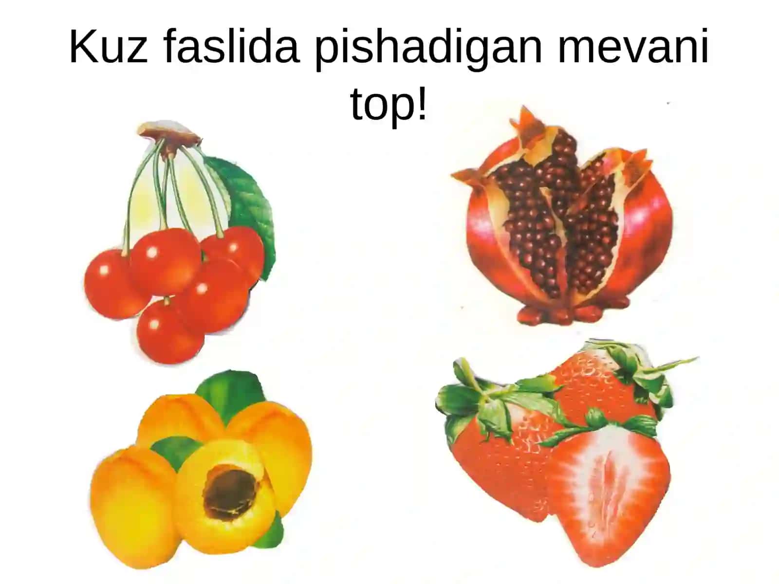 Oltin kuz mavzusida ochiq dars ishlanmalar va taqdimotlar 4