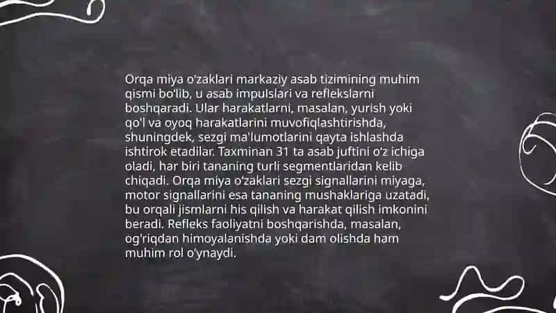 Orqa miya oʻzaklarining anatomik tuzilishi 4
