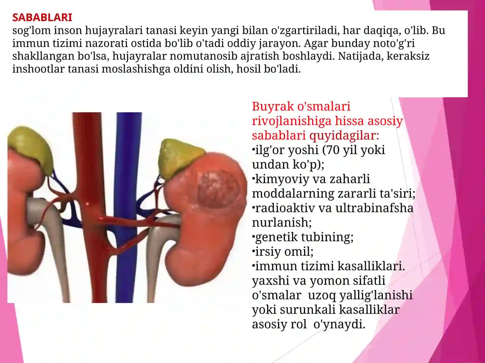 Buyrak O’smalari 4