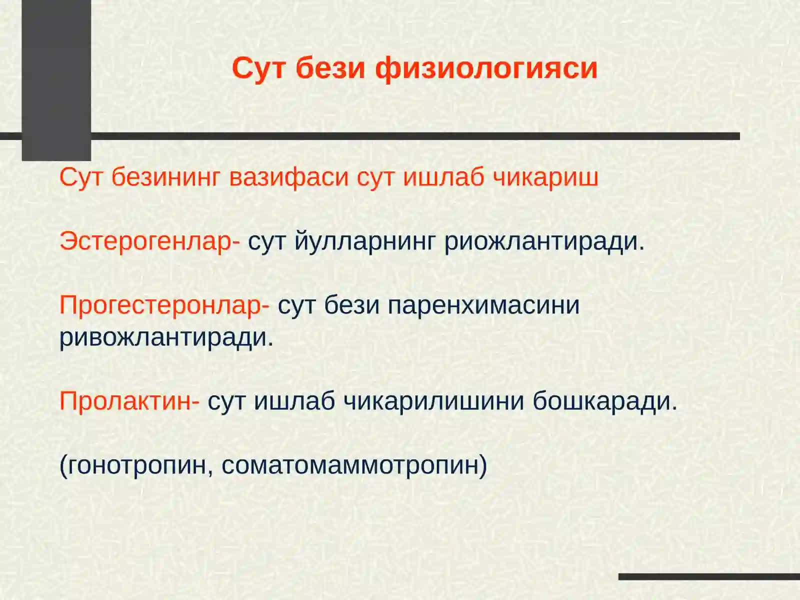 Сут безининг лимфа системаси ва кон билан таъминланиши 4