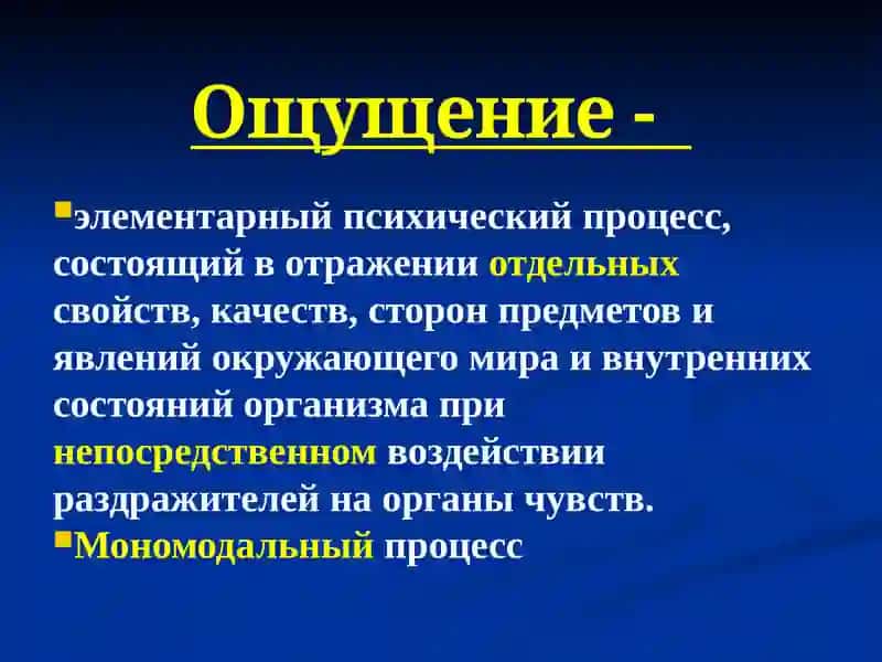 Личнось познавательных процессов 4