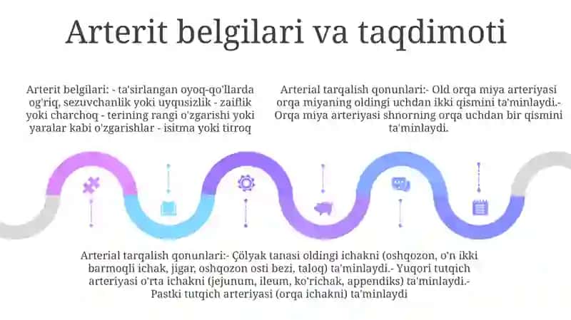 Arteritalarning Tarqalish Qonuniyatlari 4