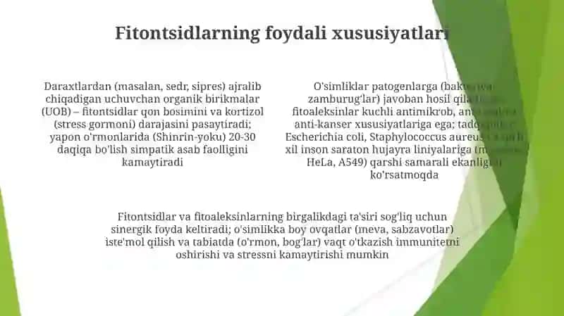 Fitoleksinlar va fitontsidlar 4