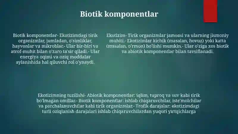 Ekotizim Va Uning Tuzilishi 4