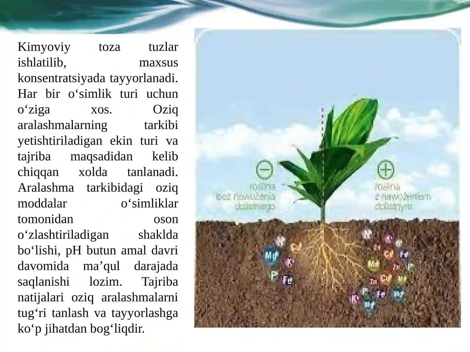 Oziqaralashmalarining ahmiyati 4