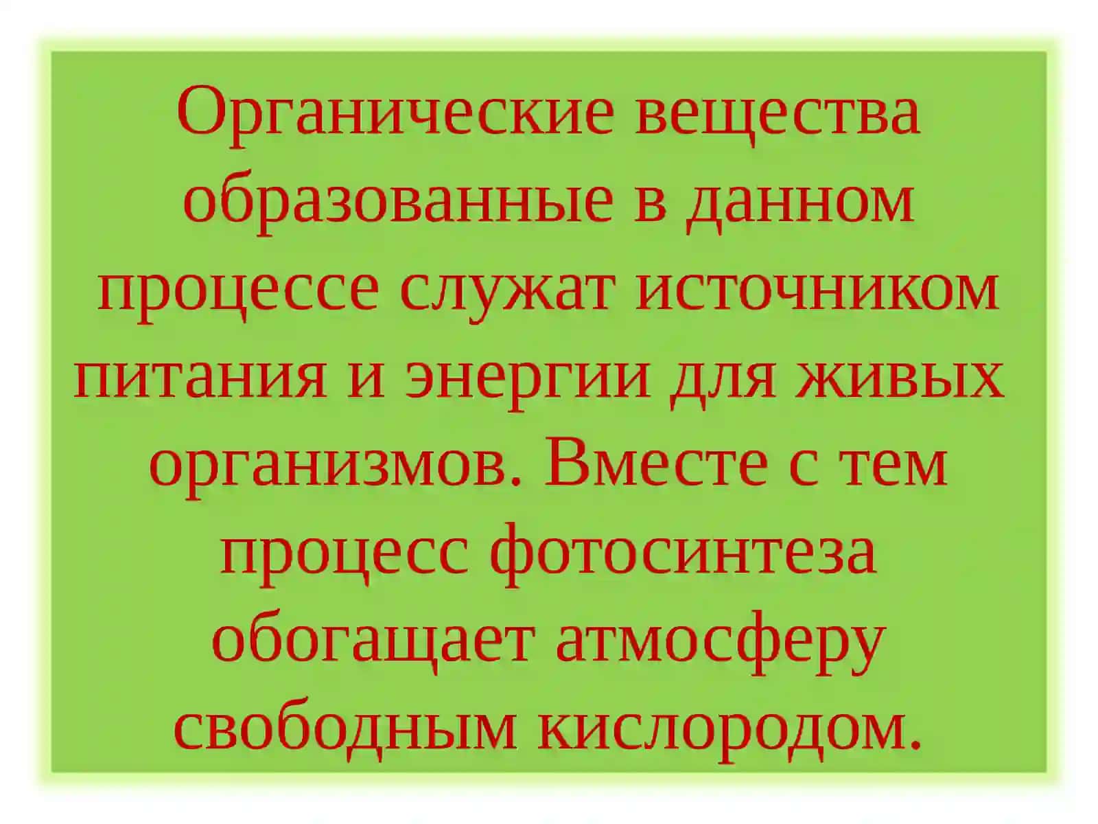 Фотосинтез 4