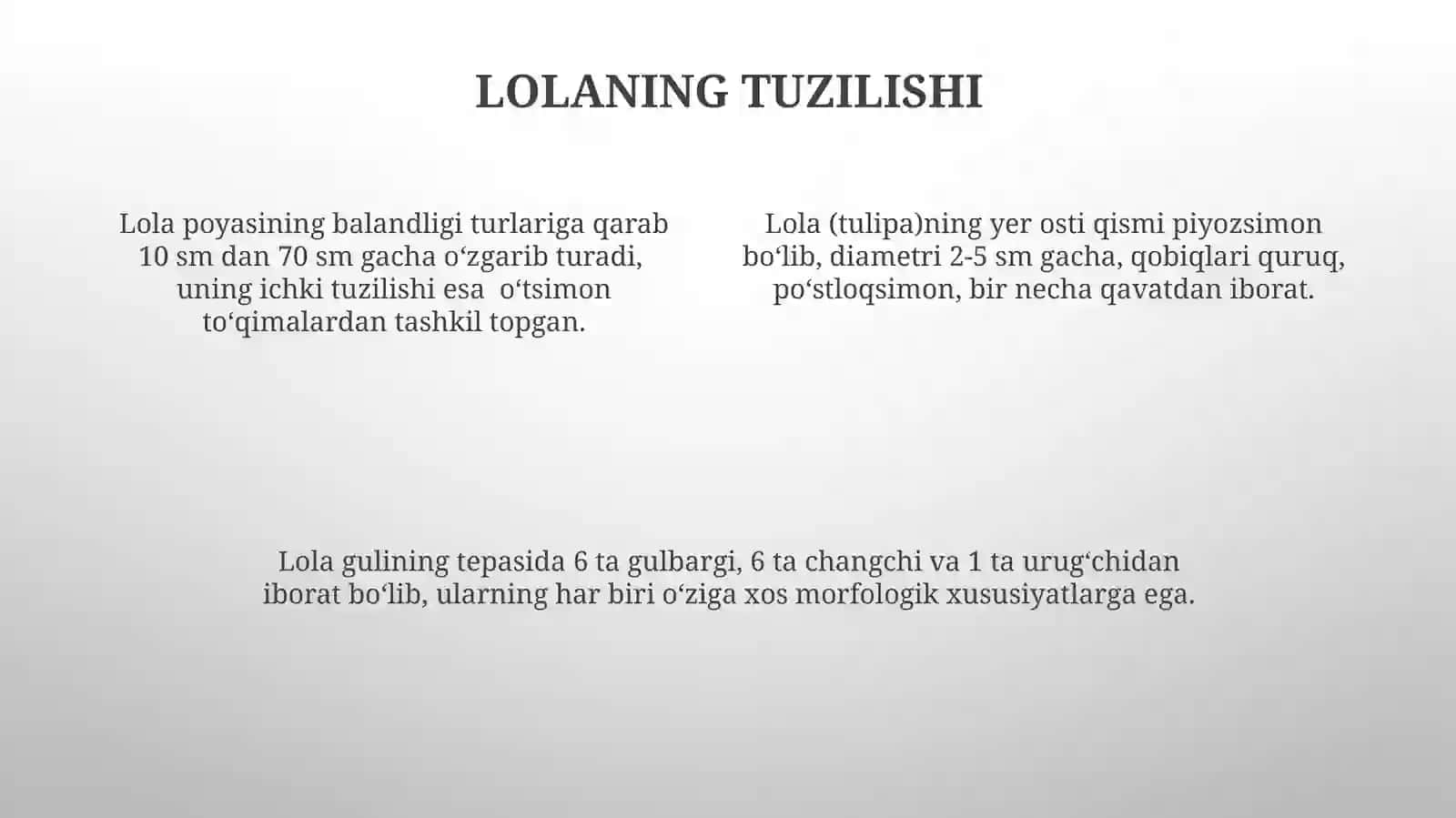 Lola (Tulipa) turlari 4