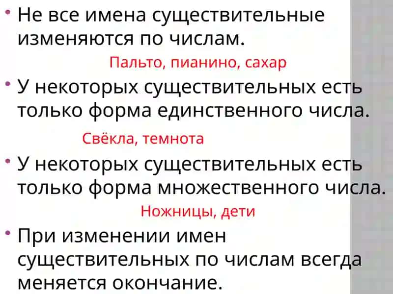 Число имен существительных-2023 год – год заботы о человеке и качественного образования 4