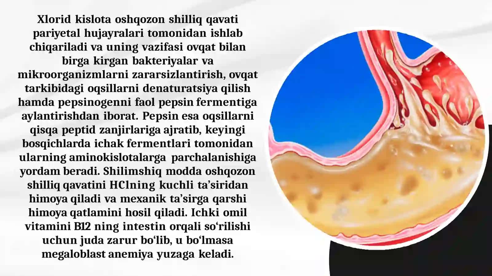 Oshqozonsuyuqligining klinikahamiyati 4