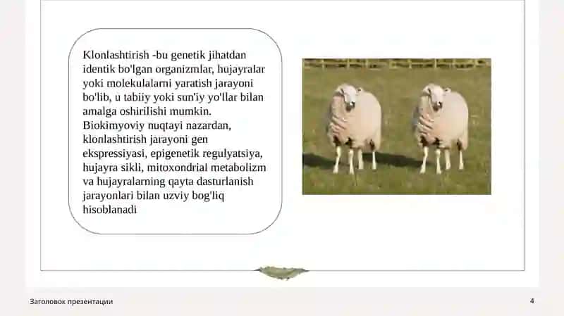Klonlar, klonlashtirish va ularning klinikahamiyati 4