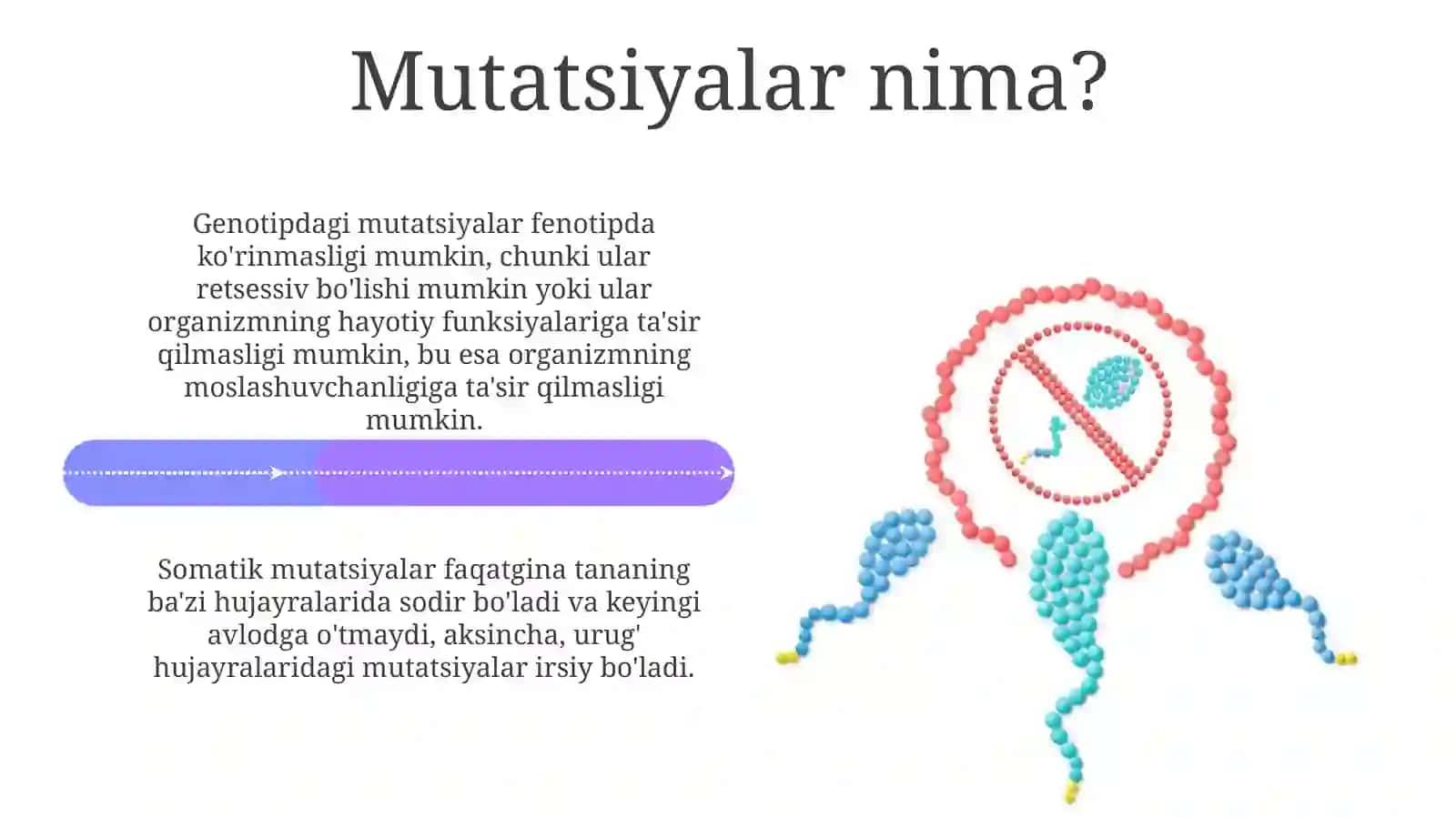 Mutatsiyalarni o'rganishning ahamiyati 4