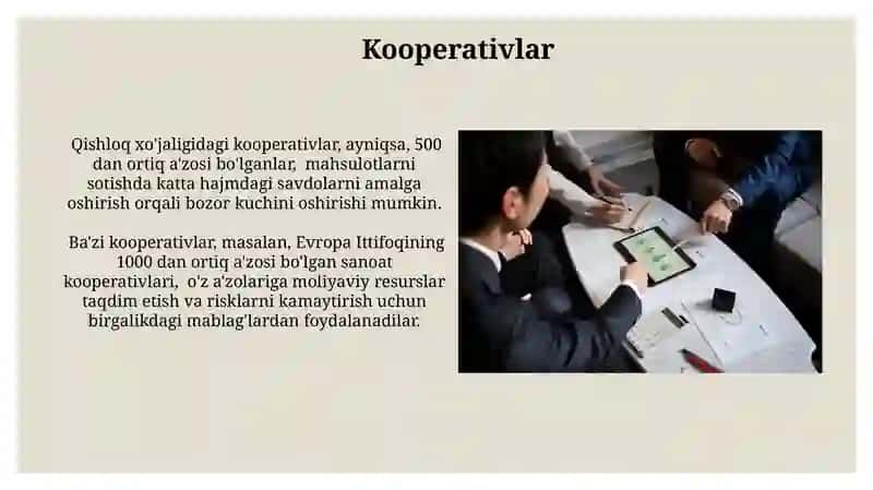 Nodavlat notijorat tashkilotlari 4