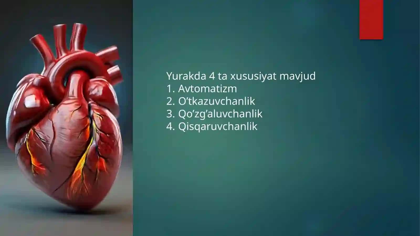 Yurak patofiziologiyasi slayd 4