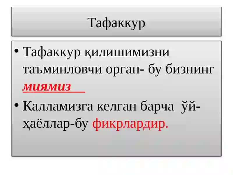 Tafakkur shakllari 4