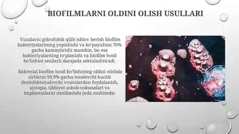 Biofilmlar va oziq-ovqat sanoati 4