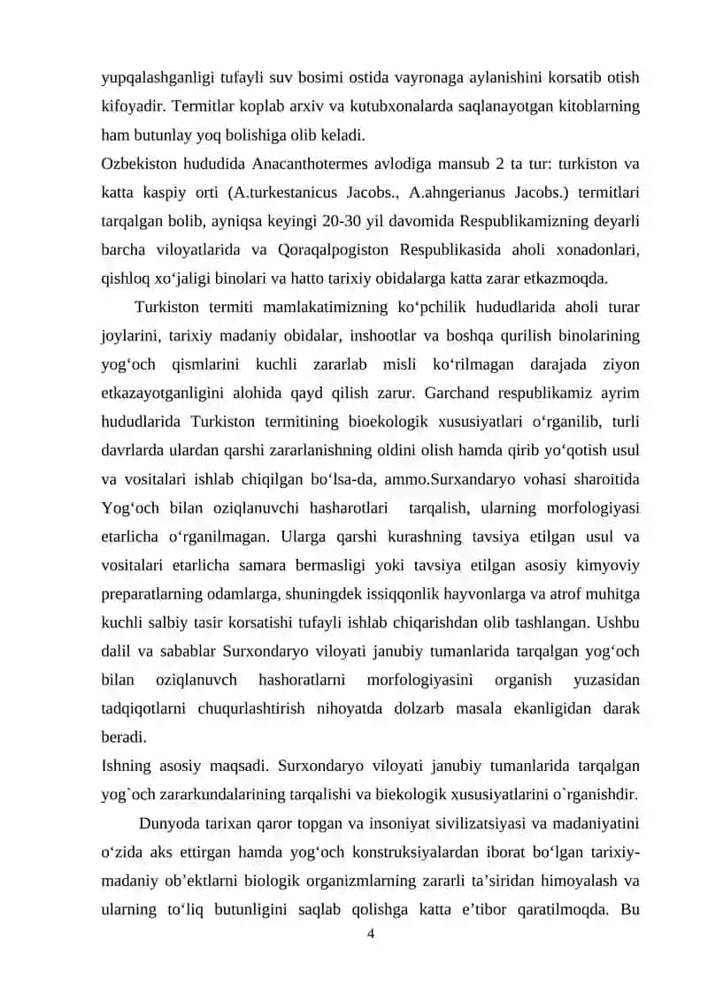 Magistrlik dissertatsiyasi mavzusining asoslanishi va uning dolzarbligi 4