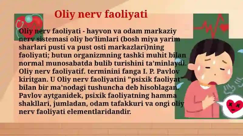 Nerv tizimining ahamiyati va gigiyenasi 4